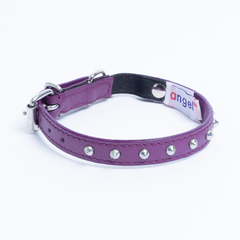 Studded Cat Collars