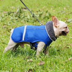 Designer Winter Dog coat - Reflective