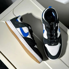 NIKE SB Alley-oop men's low-top - vintage sneakers